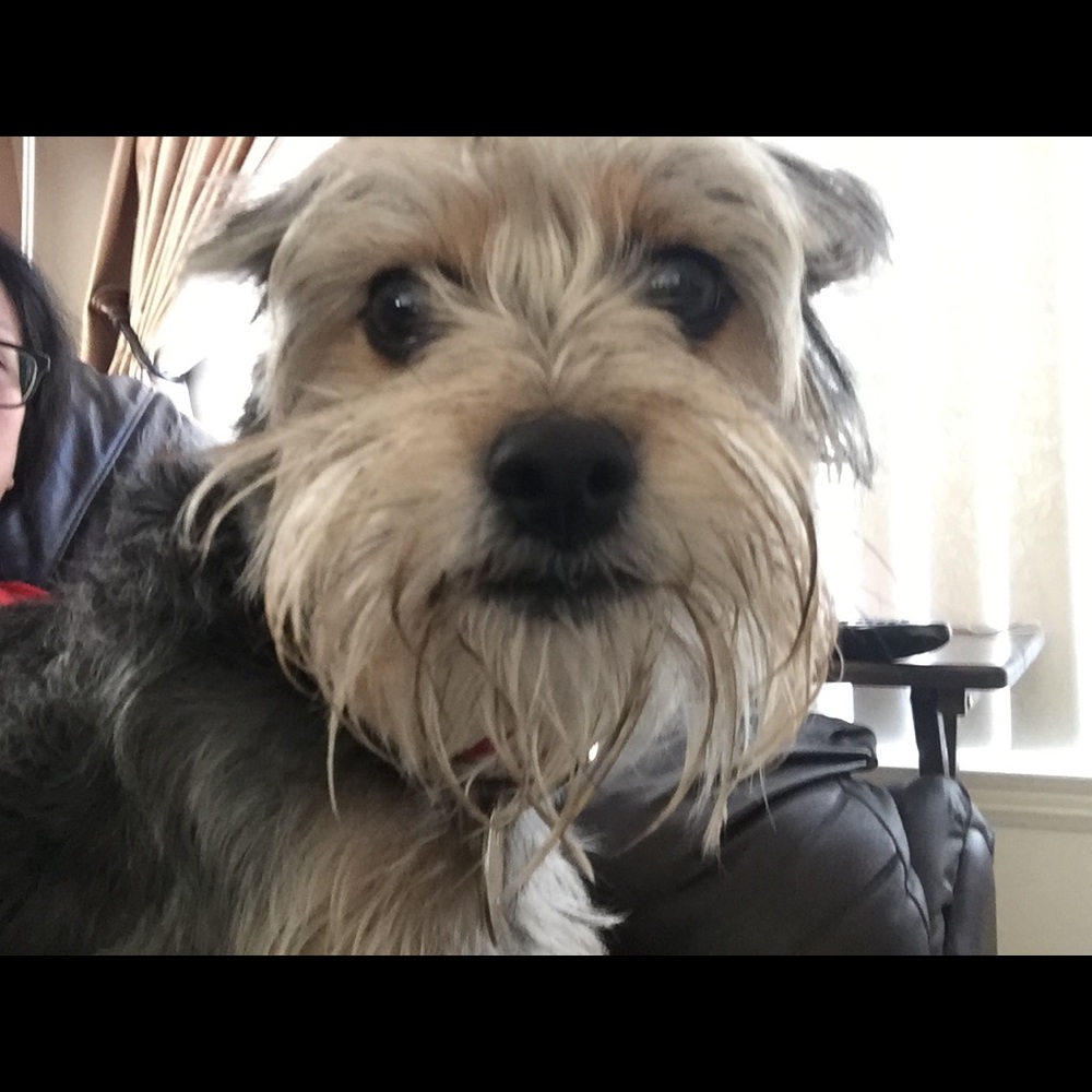 Meet your Posher, Mae